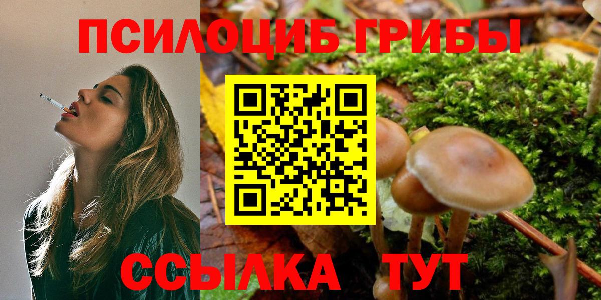 Минусинск  хочу   Вход с VPN  Псилоцибиновые грибы прущие грибы 